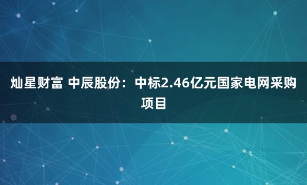 灿星财富 中辰股份：中标2.46亿元国家电网采购项目