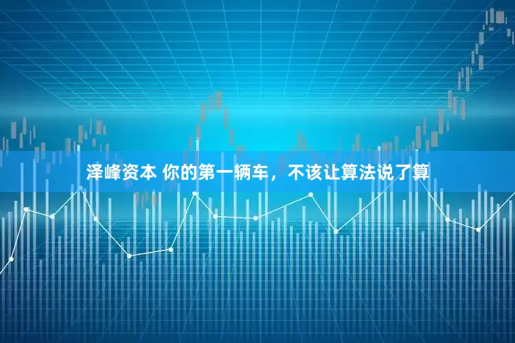 泽峰资本 你的第一辆车，不该让算法说了算