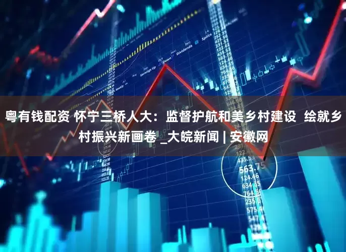粤有钱配资 怀宁三桥人大：监督护航和美乡村建设  绘就乡村振兴新画卷 _大皖新闻 | 安徽网