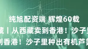 纯旭配资端 辉煌60载 魅力新西藏丨从西藏卖到香港！沙子里种出有机芦笋